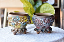 Load image into Gallery viewer, Crackle style succulent pot - flower ceramic pot (12cm*`3.5cm)