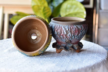Load image into Gallery viewer, Crackle style succulent pot - flower ceramic pot (12cm*`3.5cm)