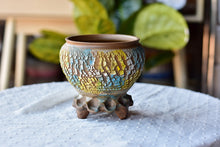 Load image into Gallery viewer, Crackle style succulent pot - flower ceramic pot (12cm*`3.5cm)