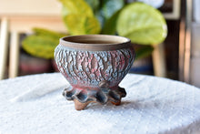 Load image into Gallery viewer, Crackle style succulent pot - flower ceramic pot (12cm*`3.5cm)