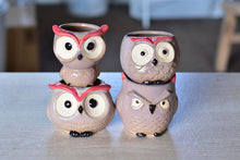 Load image into Gallery viewer, Small cute owl succulent pot - flower ceramic pot (5cm*7cm)