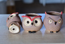Load image into Gallery viewer, Small cute owl succulent pot - flower ceramic pot (5cm*7cm)