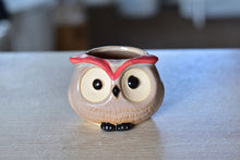 Load image into Gallery viewer, Small cute owl succulent pot - flower ceramic pot (5cm*7cm)