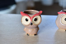 Load image into Gallery viewer, Small cute owl succulent pot - flower ceramic pot (5cm*7cm)