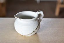 Load image into Gallery viewer, Jag succulent pot - ceramic flower planter