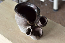 Load image into Gallery viewer, Large succulent arrangement pot (12.5cm*18cm)