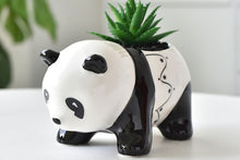 Load image into Gallery viewer, Panda succulent pot - cute animal flower planter