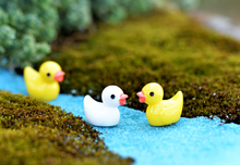 Load image into Gallery viewer, 2 × Miniature Duck – Fairy Garden DIY Material