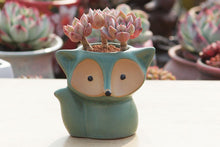 Load image into Gallery viewer, Ceramic fox planters - succulent pots - glaze ceramic planter (8.5cm×10cm)