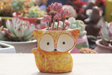 Load image into Gallery viewer, Ceramic fox planters - succulent pots - glaze ceramic planter (8.5cm×10cm)