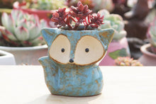 Load image into Gallery viewer, Ceramic fox planters - succulent pots - glaze ceramic planter (8.5cm×10cm)