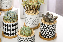 Load image into Gallery viewer, Geometric pots - succulent planters with plate - ceramic pots (7.1cm * 6.6cm)