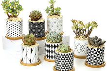 Load image into Gallery viewer, Geometric pots - succulent planters with plate - ceramic pots (7.1cm * 6.6cm)