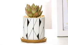 Load image into Gallery viewer, Geometric pots - succulent planters with plate - ceramic pots (7.1cm * 6.6cm)