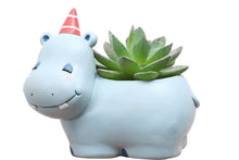 Load image into Gallery viewer, Animal Pots - Zebra Planters - Hippo pots -For Succulent - Made of Resin