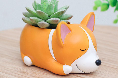 dog pot plant Animal Pots - Dog Planters - Succulent pots