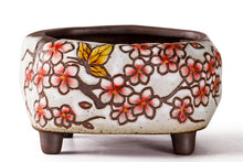 Load image into Gallery viewer, Handpainted plant pots - flower planters - ceramic pots (11.9cm ×10.5cm ×7.4cm)