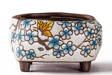 Load image into Gallery viewer, Handpainted plant pots - flower planters - ceramic pots (11.9cm ×10.5cm ×7.4cm)