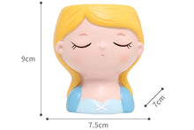 Load image into Gallery viewer, Cartoon Girl Pots - Resin Planters - Cinderella - Snow white - Mermaid
