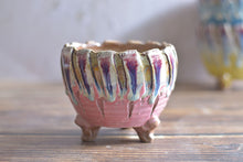 Load image into Gallery viewer, Crackled style pots - round succulent planters (12/13cm × 10/11cm)