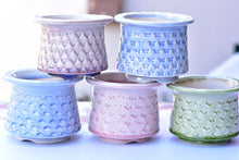 Load image into Gallery viewer, Full print succulent pot - ice crackle flower planter3 (13*10cm)