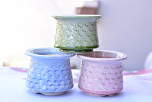 Load image into Gallery viewer, Full print succulent pot - ice crackle flower planter3 (13*10cm)