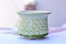 Load image into Gallery viewer, Full print succulent pot - ice crackle flower planter3 (13*10cm)