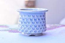 Load image into Gallery viewer, Full print succulent pot - ice crackle flower planter3 (13*10cm)