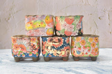 Load image into Gallery viewer, 【Doris's collection】Handpainted succulent pots - flower planters (11cm*9.5cm*10cm)