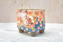 Load image into Gallery viewer, 【Doris's collection】Handpainted succulent pots - flower planters (11cm*9.5cm*10cm)