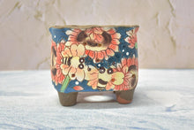 Load image into Gallery viewer, 【Doris's collection】Handpainted succulent pots - flower planters (11cm*9.5cm*10cm)