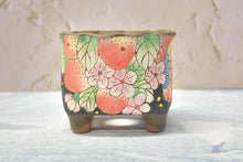 Load image into Gallery viewer, 【Doris's collection】Handpainted succulent pots - flower planters (11cm*9.5cm*10cm)