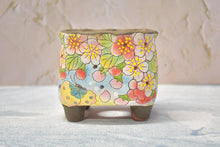 Load image into Gallery viewer, 【Doris's collection】Handpainted succulent pots - flower planters (11cm*9.5cm*10cm)