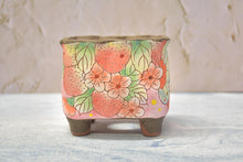 Load image into Gallery viewer, 【Doris's collection】Handpainted succulent pots - flower planters (11cm*9.5cm*10cm)
