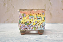 Load image into Gallery viewer, 【Doris's collection】Handpainted succulent pots - flower planters (11cm*9.5cm*10cm)