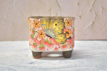 Load image into Gallery viewer, 【Doris's collection】Handpainted succulent pots - flower planters (11cm*9.5cm*10cm)