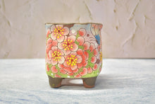 Load image into Gallery viewer, Handpainted succulent pots - flower planters - ceramic pots (9.5cm*9.5cm*10.8cm)