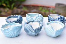 Load image into Gallery viewer, Shell succulent pot - Ocean ceramic pot