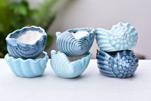 Load image into Gallery viewer, Shell succulent pot - Ocean ceramic pot