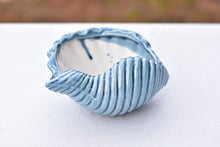 Load image into Gallery viewer, Shell succulent pot - Ocean ceramic pot