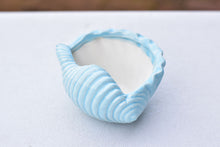 Load image into Gallery viewer, Shell succulent pot - Ocean ceramic pot