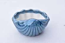 Load image into Gallery viewer, Shell succulent pot - Ocean ceramic pot