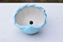 Load image into Gallery viewer, Shell succulent pot - Ocean ceramic pot