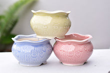 Load image into Gallery viewer, Animal texture succulent pot - flower ceramic pot (13cm*8.5cm)