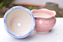 Load image into Gallery viewer, Animal texture succulent pot - flower ceramic pot (13cm*8.5cm)