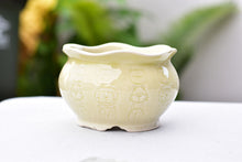 Load image into Gallery viewer, Animal texture succulent pot - flower ceramic pot (13cm*8.5cm)