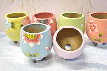 Load image into Gallery viewer, Handpainted flower pots - succulent planters - Unique planter (8.2cm * 11cm)