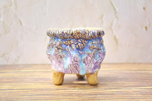 Load image into Gallery viewer, Designed handmade pots - succulent planters - ceramic pots (9.7cm * 9.6cm)