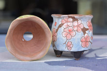 Load image into Gallery viewer, Handpainted pots - succulent planter - flower pot (8cm * 7.5cm)