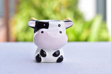 Load image into Gallery viewer, Cute animal succulent pots - flower planter